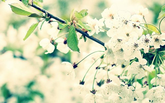 安康白河县旅游团用餐多少钱