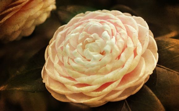 宜州旅游景点什么洞