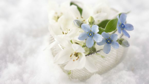 宏村是什么类型旅游景点