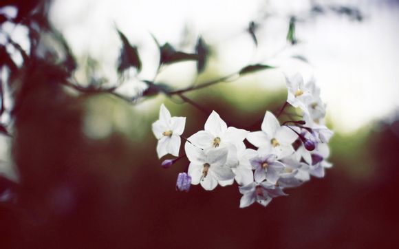 霞塘村旅游景点有哪些