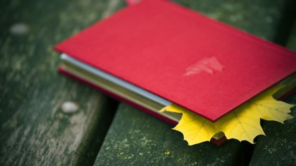 雷波有什么旅游景点