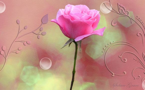 安阳到四姑娘山旅游团多少钱