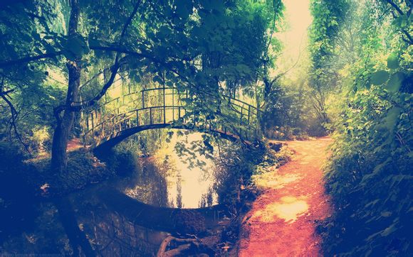 雪乡怎么报当地旅游团