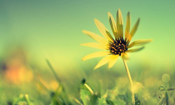 定州古城旅游景点有哪些