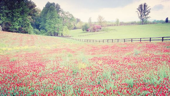 青岛到义乌的旅游团多少钱