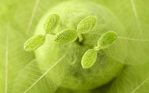 安康旅游景点都有什么