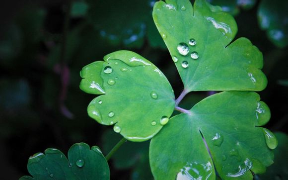 霞姐爱旅游团购电话是多少