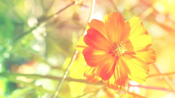 雷波有什么旅游景点好玩