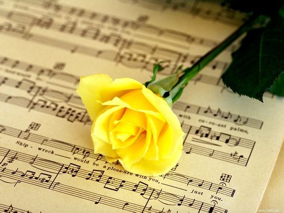 安徽泗县旅游景点有哪些