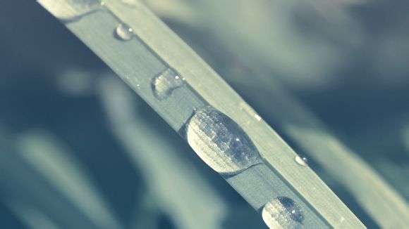 雪乡文旅旅游团怎么样啊