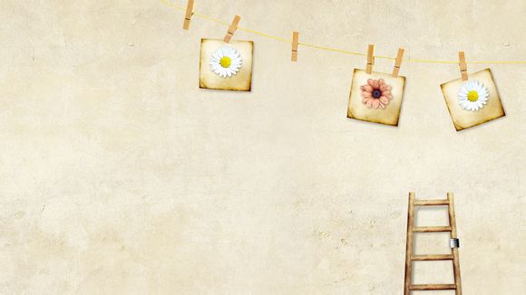 宜昌旅游团去泰国多少钱