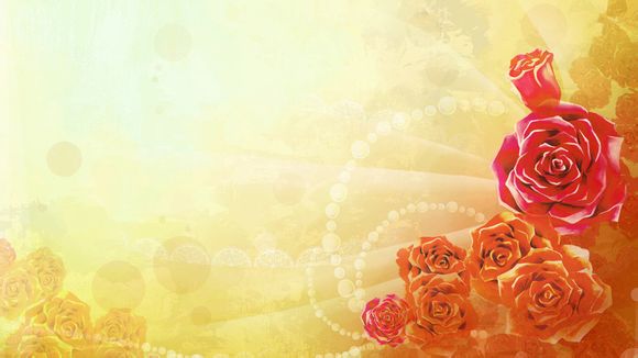 青岛旅游团有多少个