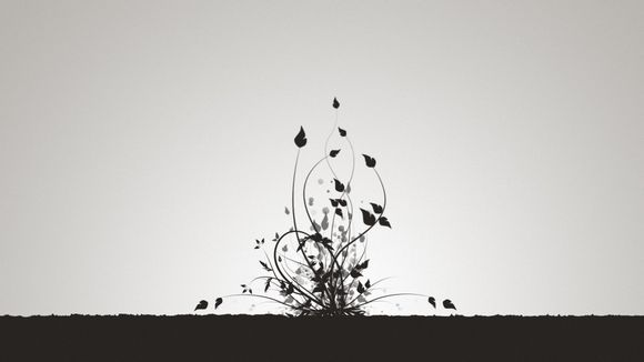 安徽省内玩水旅游景点有哪些