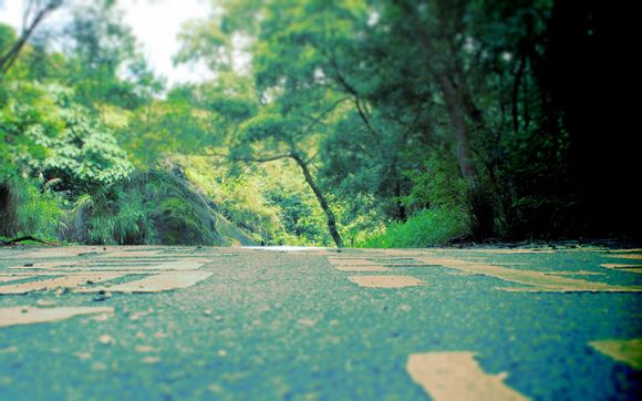 安徽旅游4天三晚跟团游