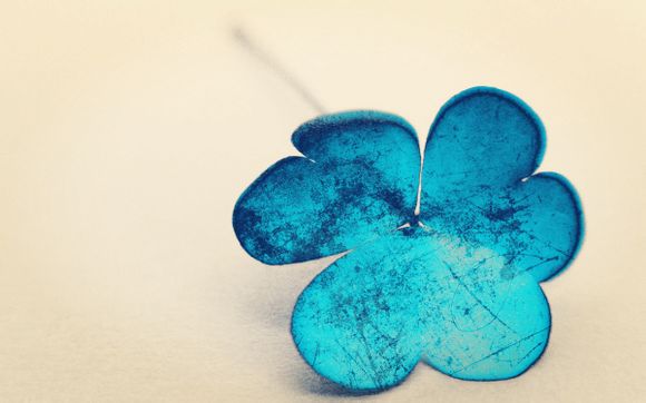 安徽的芦山旅游景点有哪些