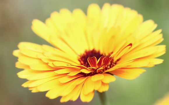 青岛团岛的旅游景点有哪些