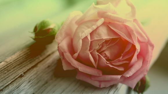 青岛旅游4天自由行详解