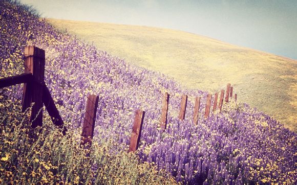 安徽上尧旅游景点有哪些