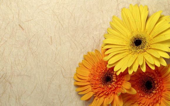 宜宾先锋旅游景点有哪些