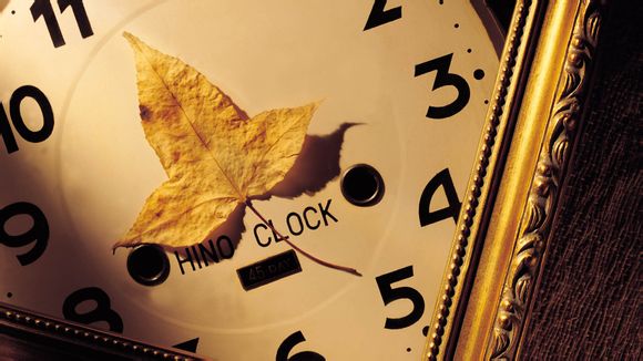 安徽黄山有什么旅游景点