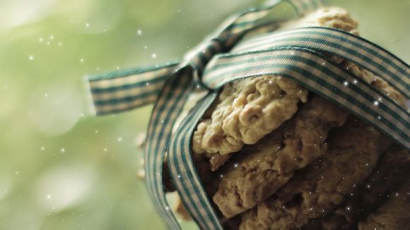 青岛到九江旅游团多少钱