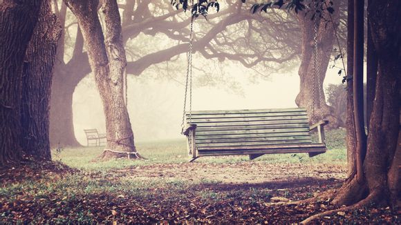 定兴去野三坡旅游团多少钱