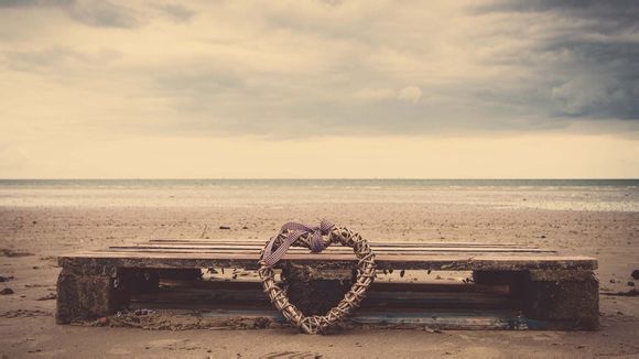 青岛旅游团本地人有多少