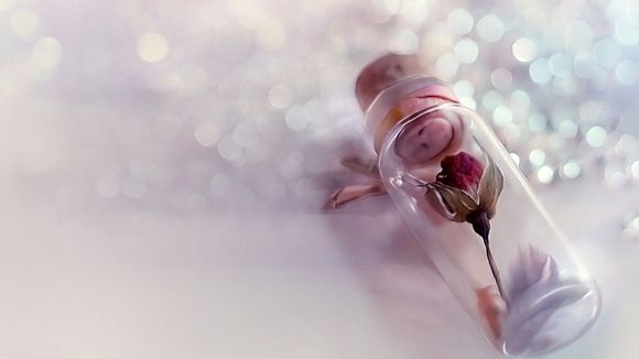 定福旅游景点有哪些