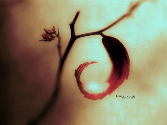 定州东亭镇旅游景点有哪些