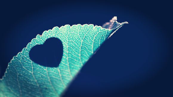 宜家旅游景点哪些好玩