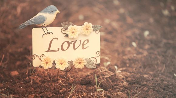 定南到西安旅游团价格多少