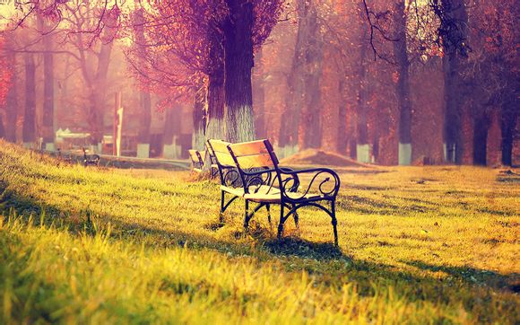 定制旅游团合同怎么写