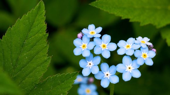 定西有什么玩的旅游景点