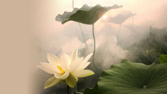 青岛旅游4天能去吗吗