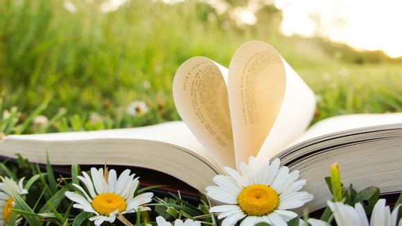 青岛旅游4天纯玩团