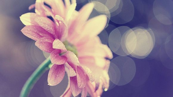 青岛回龙口旅游团多少钱